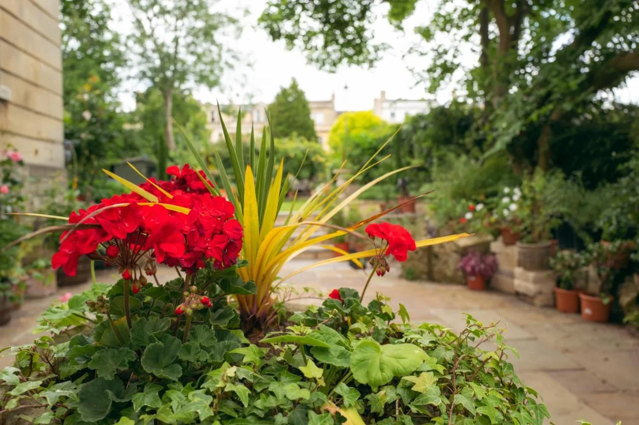 a garden with red flowers and green plants at Grosvenor Villa in Bath